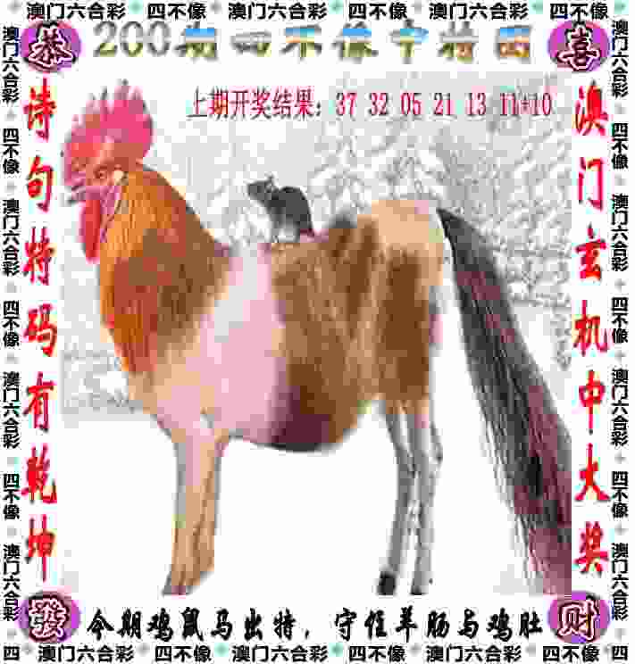 这下真的热“爆”了 羽毛球拍突然断裂弹起打到店主